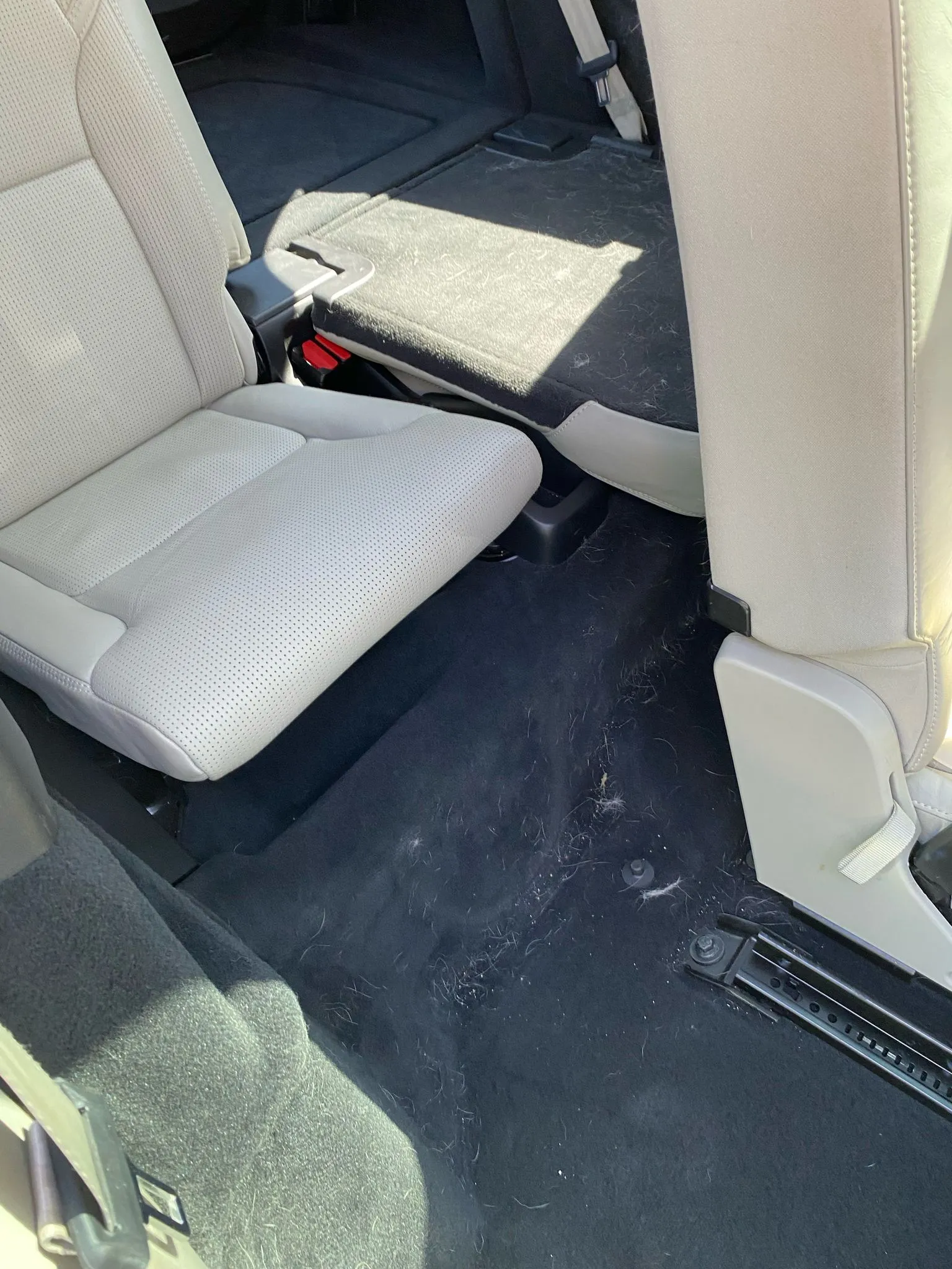 Luxury Car Exterior Detailing